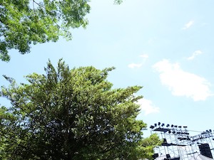 葉加瀬太郎音楽祭2022 上賀茂神社公演